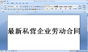 最新私营企业劳动合同样本
