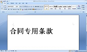 合同专用条款