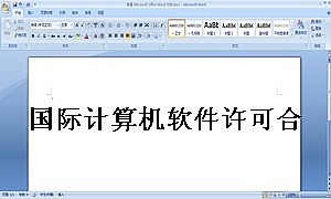 国际计算机软件许可合同格式