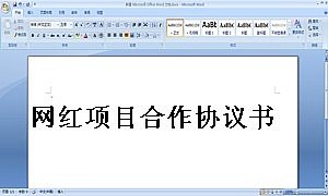 网红项目合作协议书